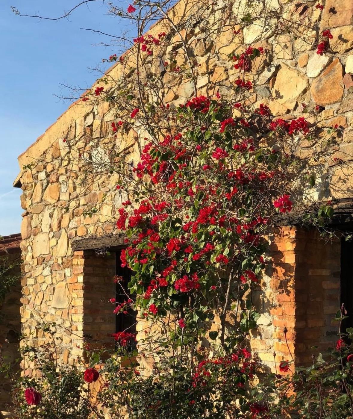 Finca Los Caleros Juan Gallegos Zewnętrze zdjęcie