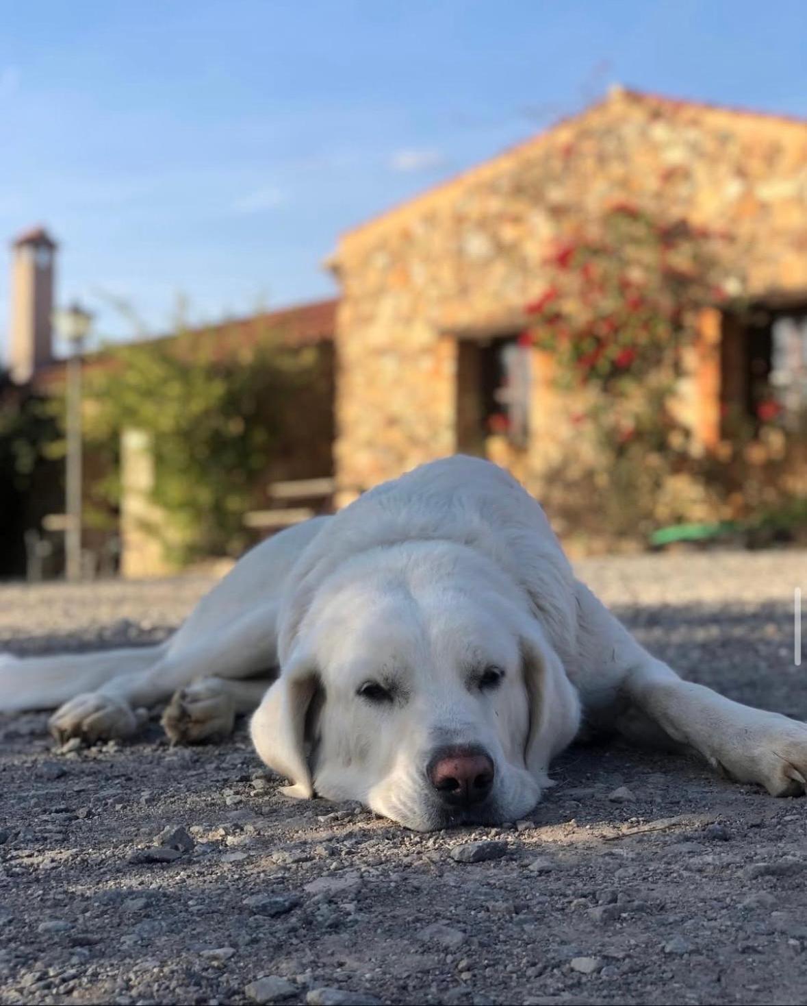 Finca Los Caleros Juan Gallegos Zewnętrze zdjęcie