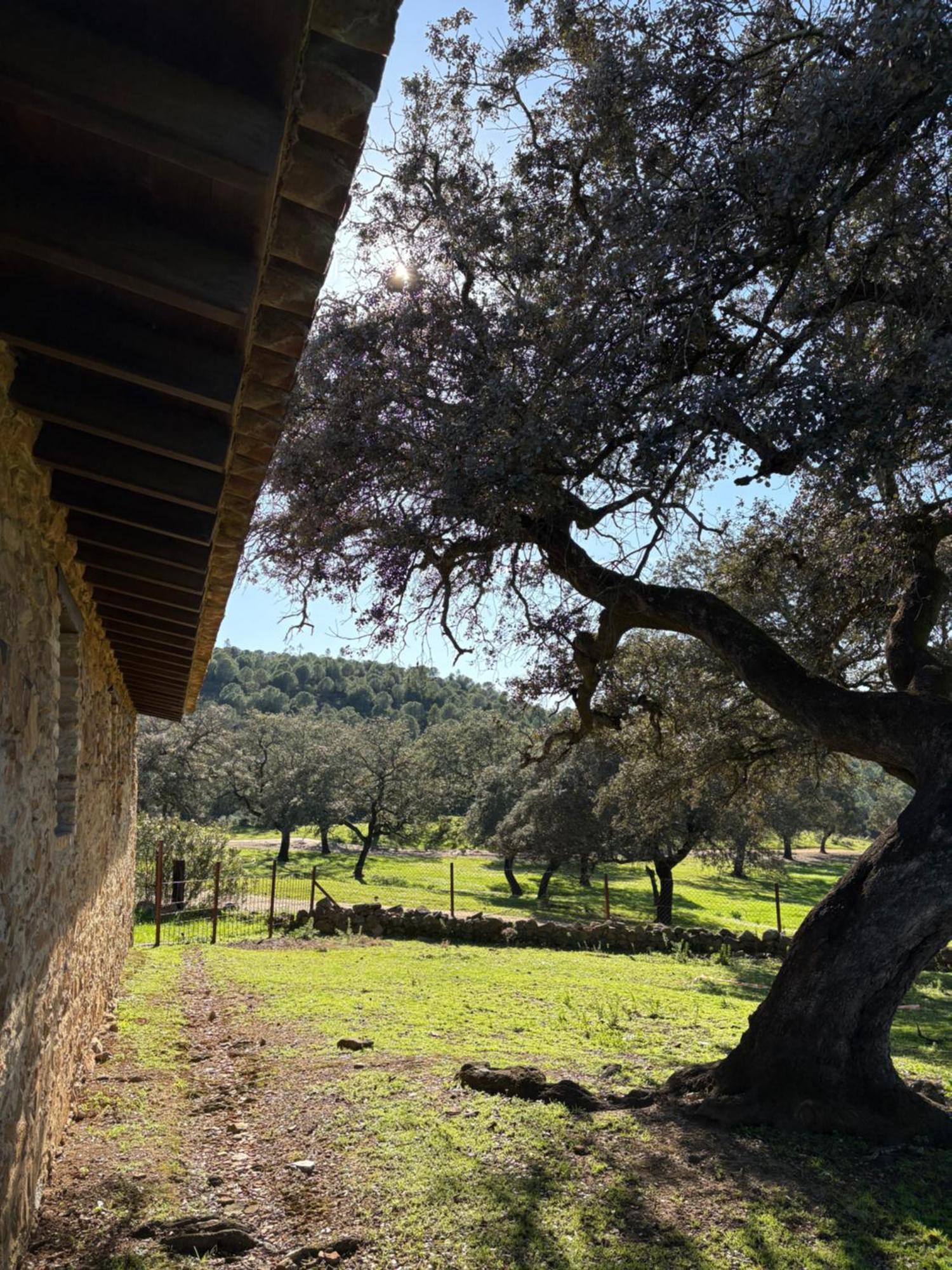 Finca Los Caleros Juan Gallegos Zewnętrze zdjęcie