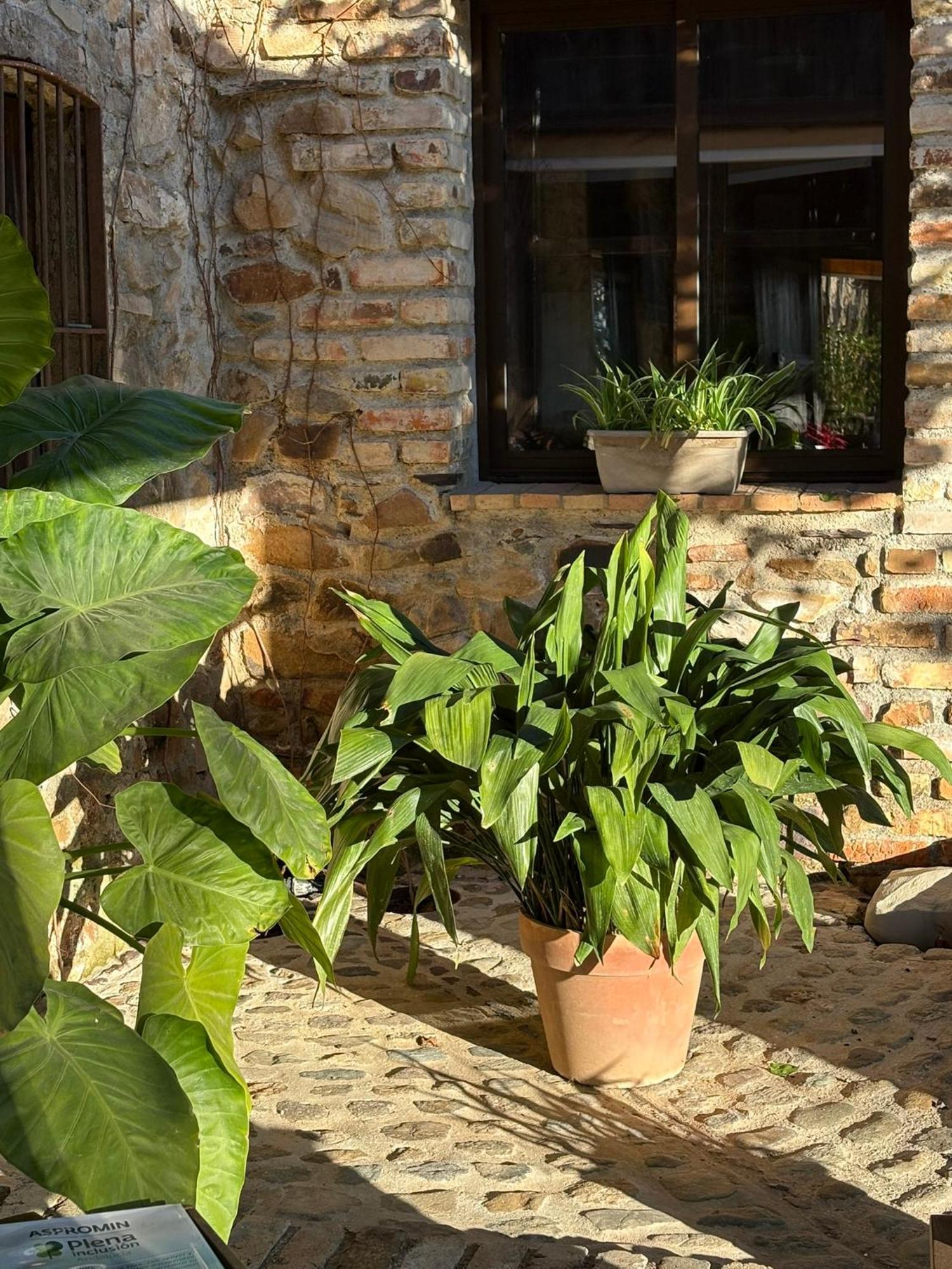 Finca Los Caleros Juan Gallegos Zewnętrze zdjęcie